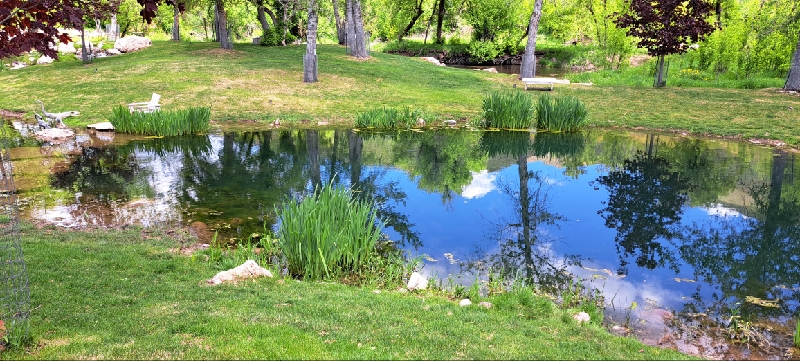 Pond cleaning service
