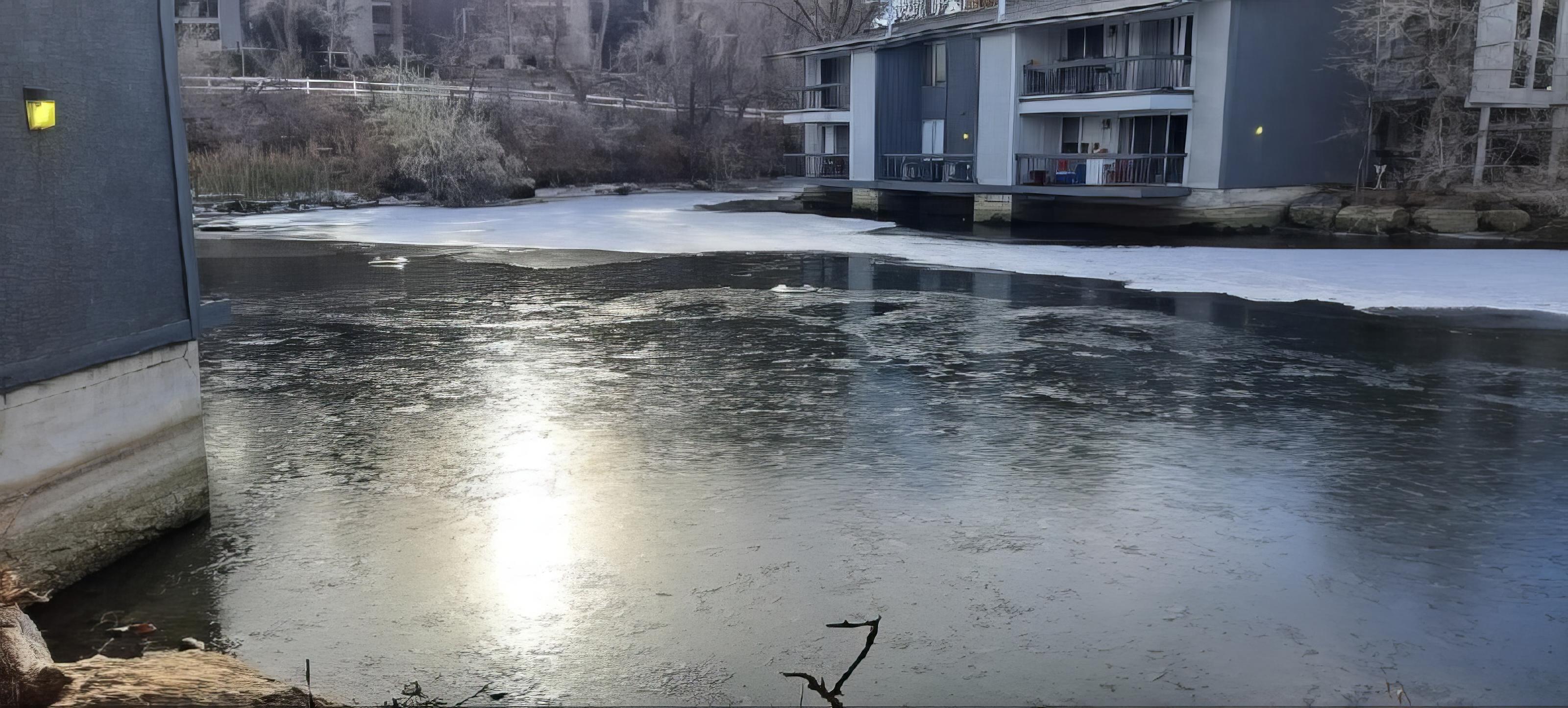 Professional pond with waterfall feature