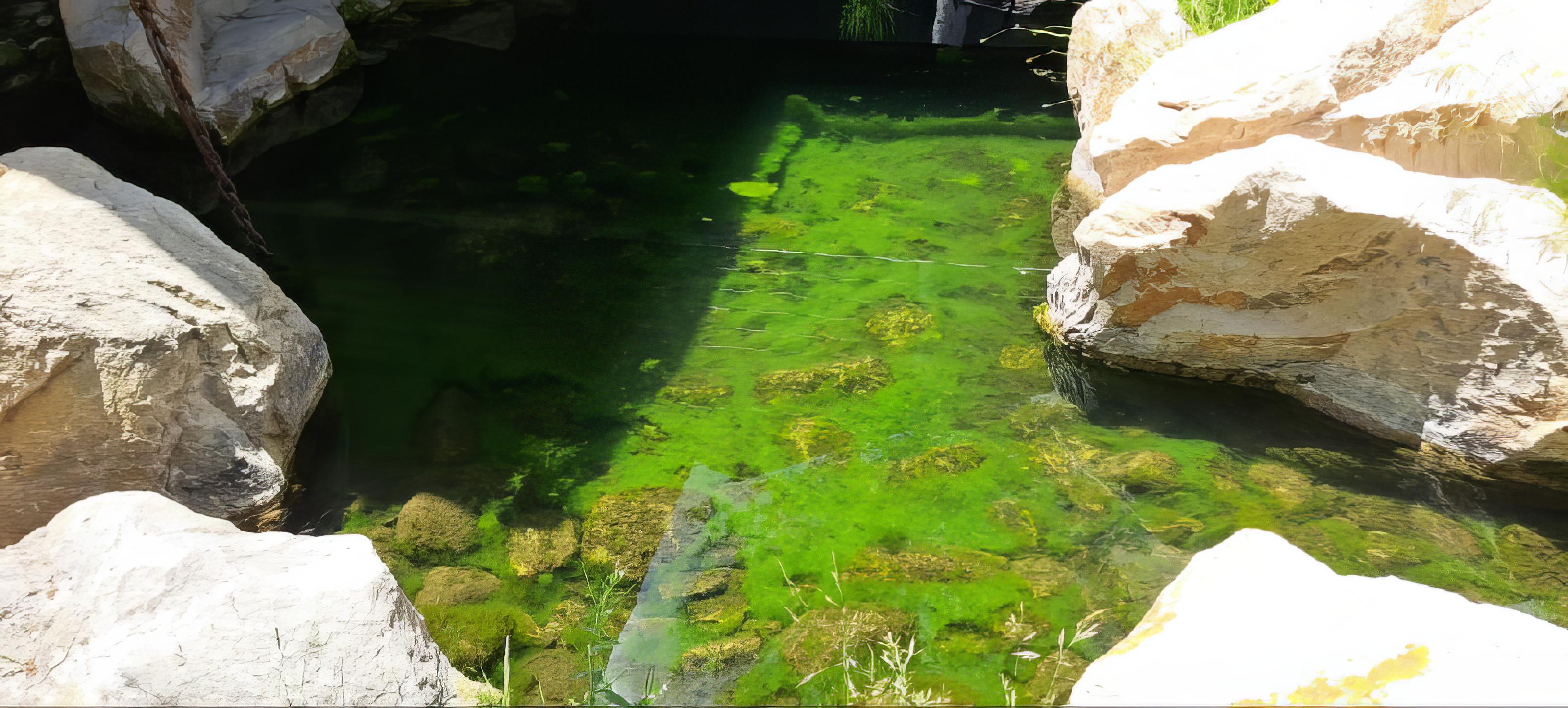 Crystal clear pond with natural rock border